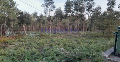 Terreno em Madail, Oliveira de Azeméis