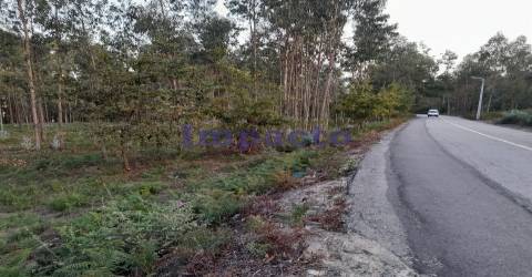 Terreno em Madail, Oliveira de Azeméis
