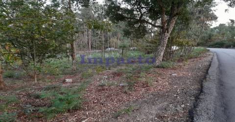 Terreno em Madail, Oliveira de Azeméis