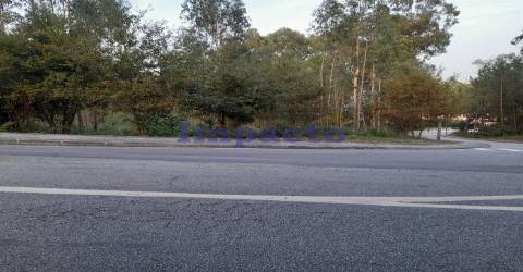 Terreno em Madail, Oliveira de Azeméis