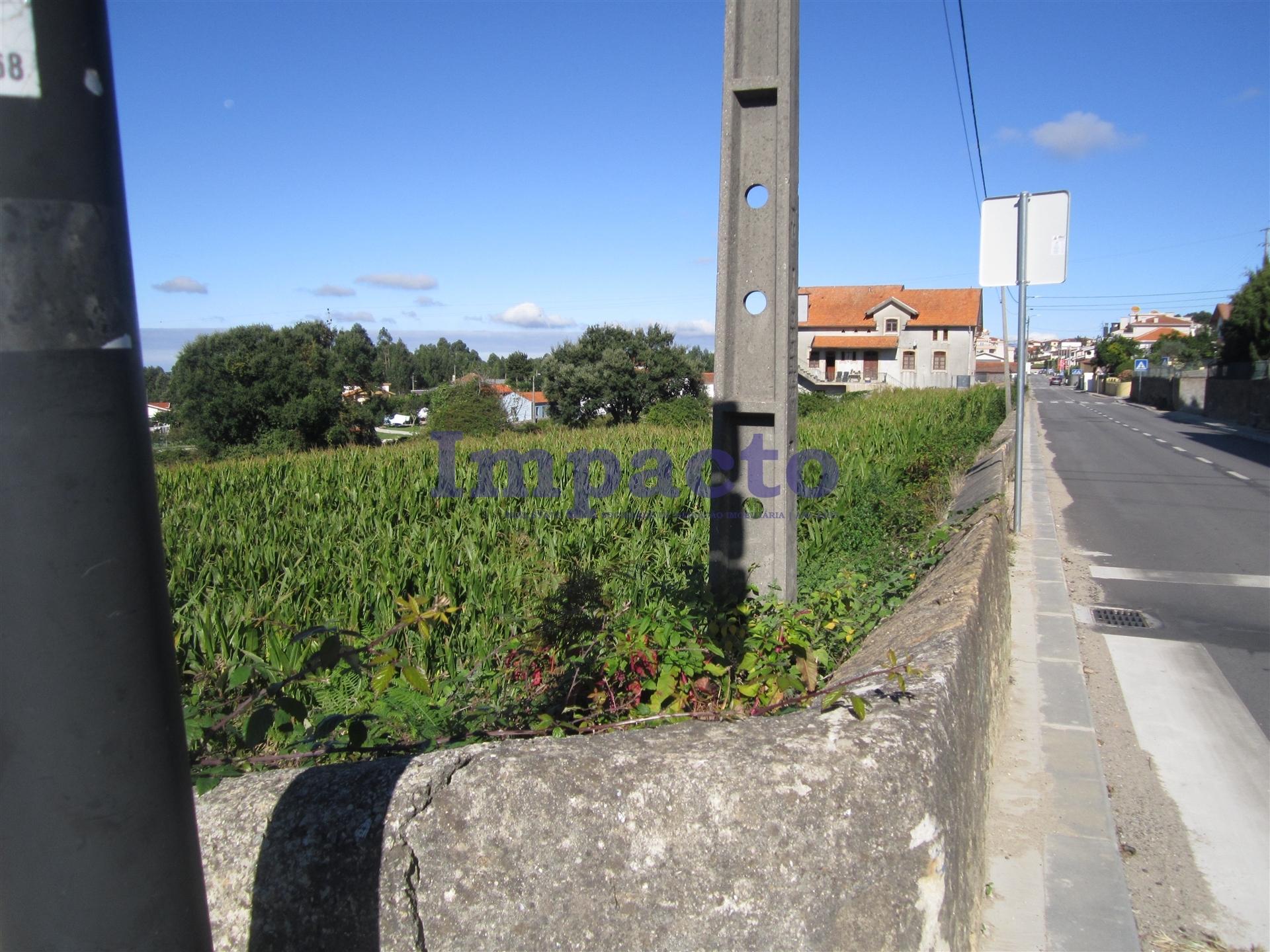 Terreno  Venda em Vila de Cucujães,Oliveira de Azeméis