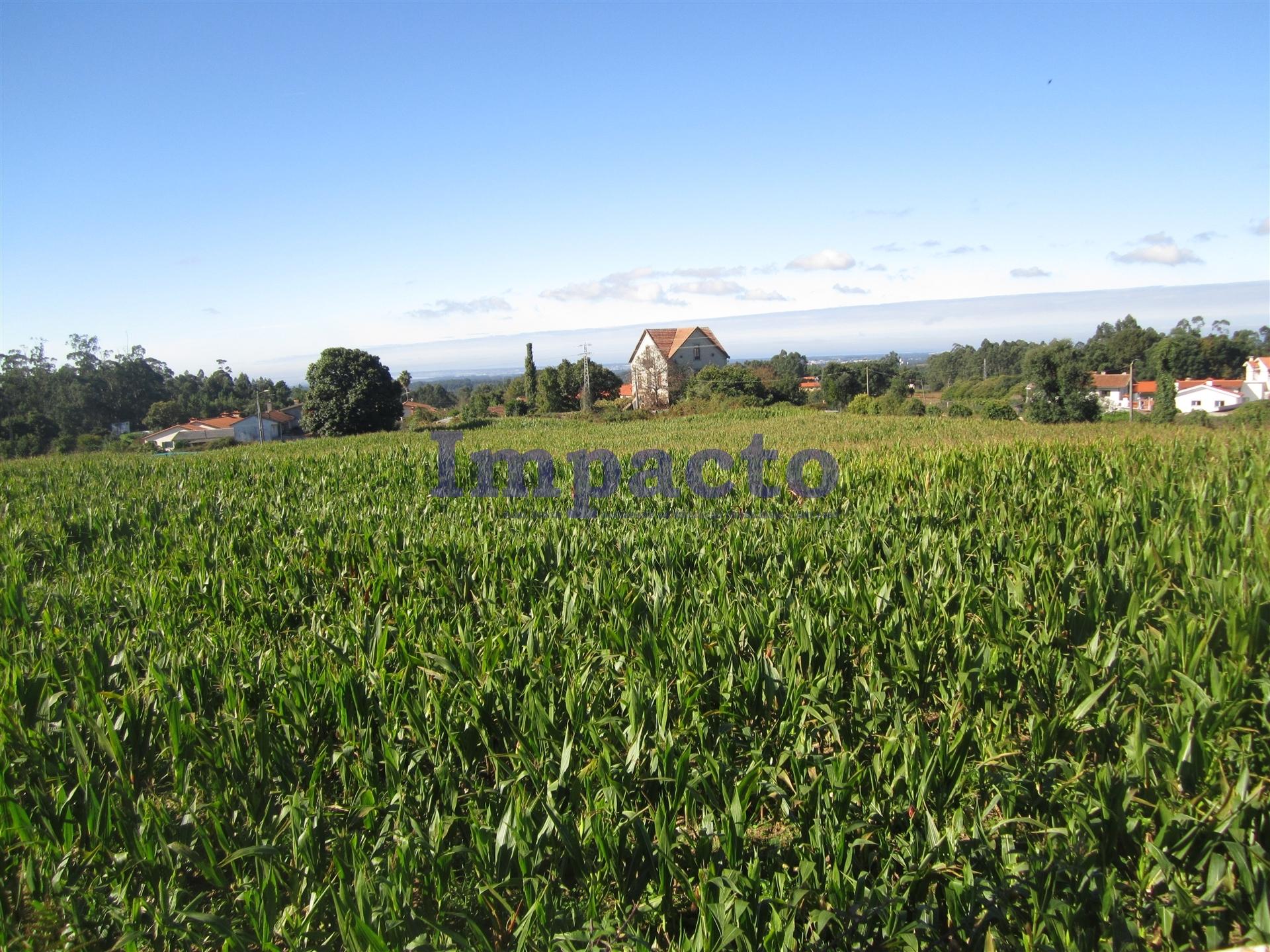 Terreno  Venda em Vila de Cucujães,Oliveira de Azeméis