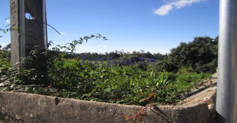Terreno em Cucujães, Oliveira de Azeméis