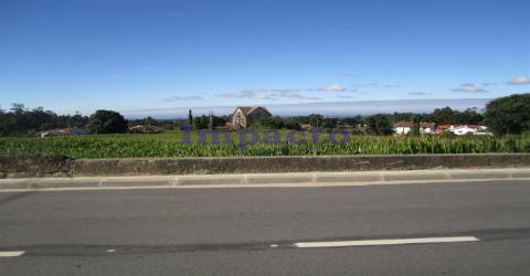 Terreno em Cucujães, Oliveira de Azeméis