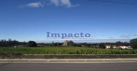 Terreno em Cucujães, Oliveira de Azeméis