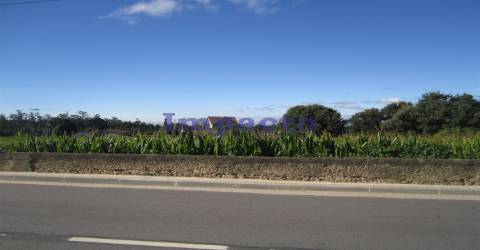 Terreno em Cucujães, Oliveira de Azeméis