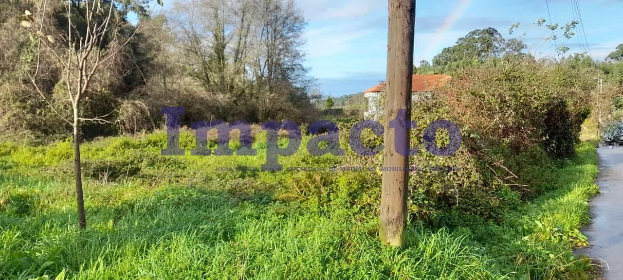 Terreno Rústico  Venda em Escariz,Arouca