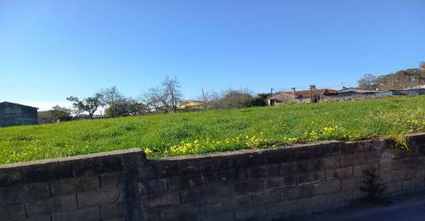 Terreno Rústico em São Martinho da Gândara, Oliveira de Azeméis