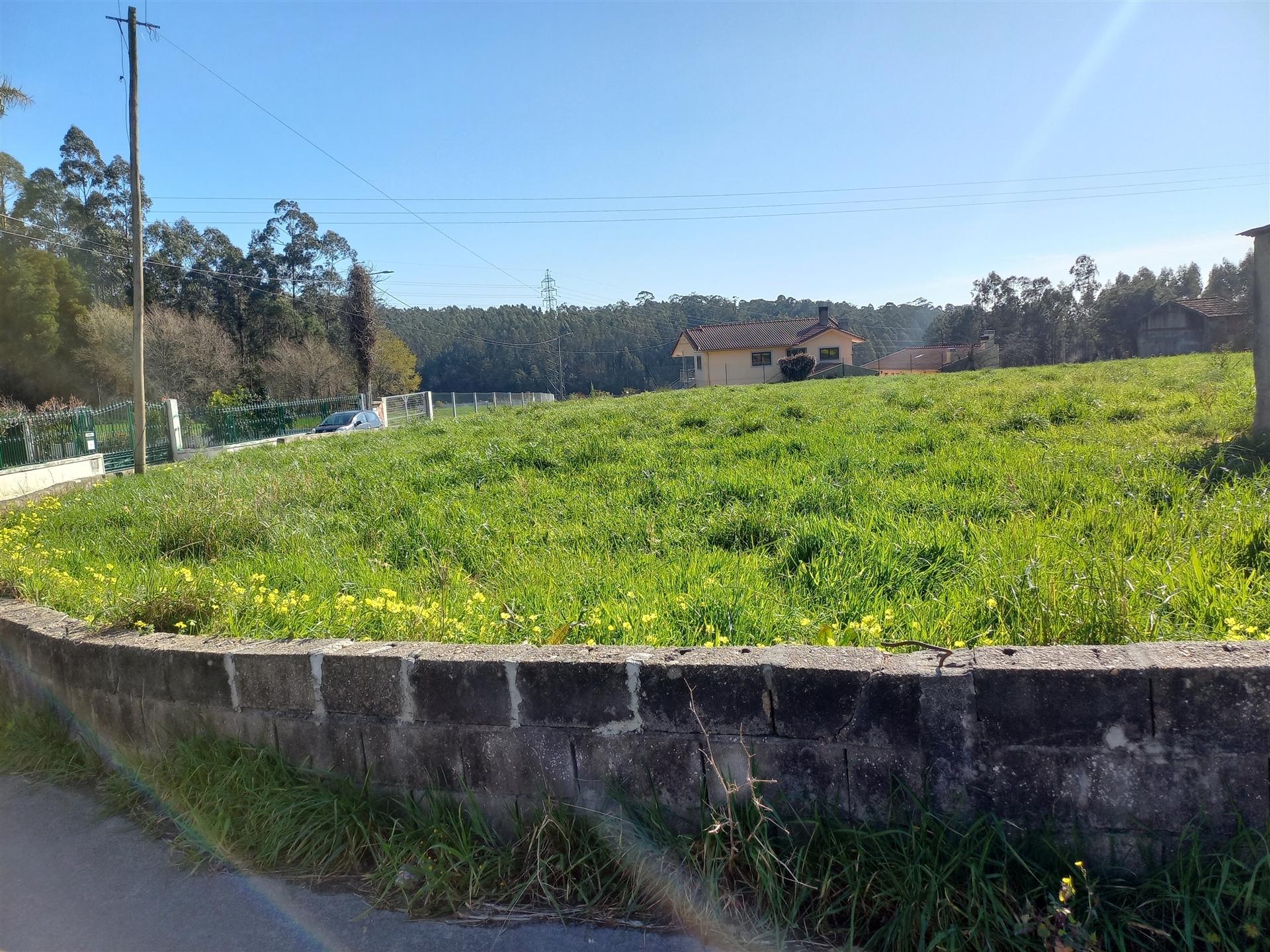 Terreno Rústico  Venda em São Martinho da Gândara,Oliveira de Azeméis