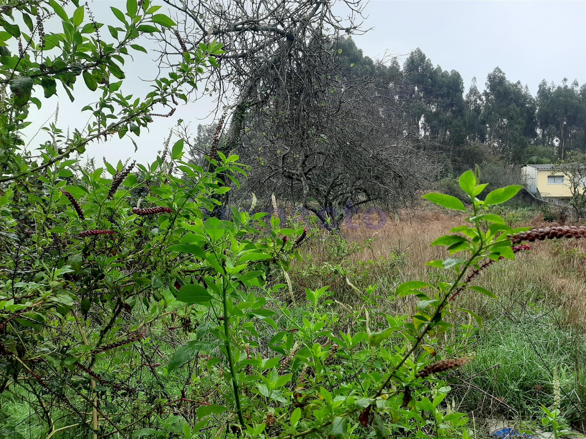 Lote de Terreno  Venda em Madalena,Vila Nova de Gaia