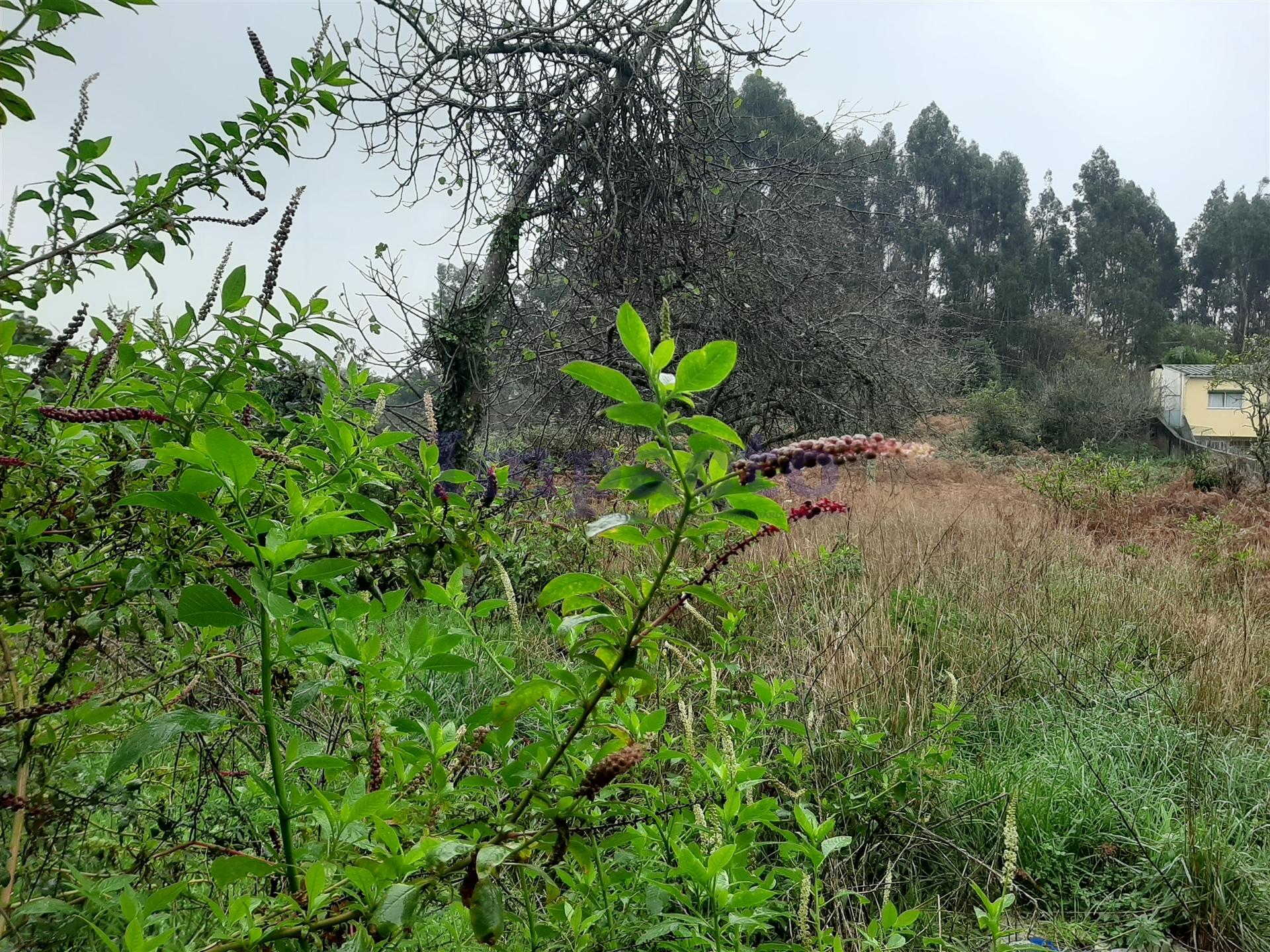 Lote de Terreno  Venda em Madalena,Vila Nova de Gaia