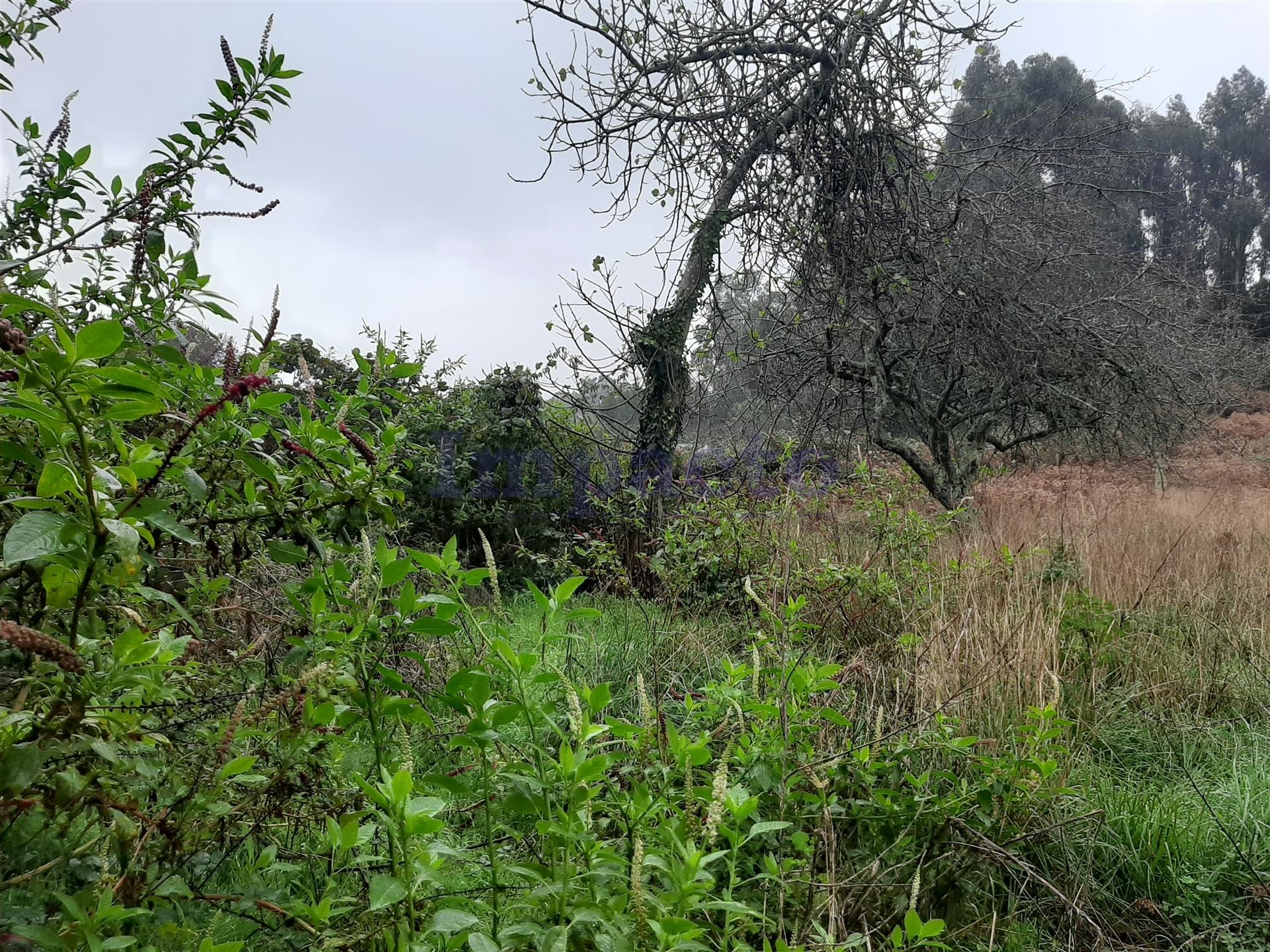 Lote de Terreno  Venda em Madalena,Vila Nova de Gaia