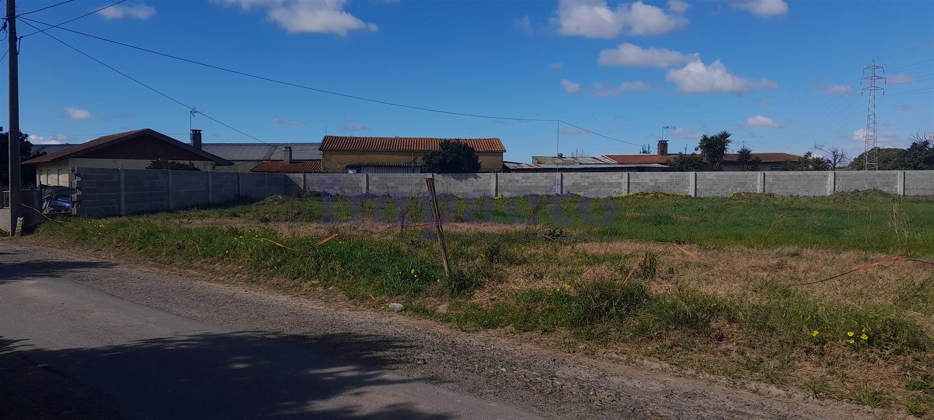 Terreno  Venda em Válega,Ovar