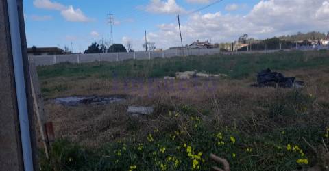 Terreno em Válega, Ovar