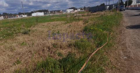 Terreno em Válega, Ovar