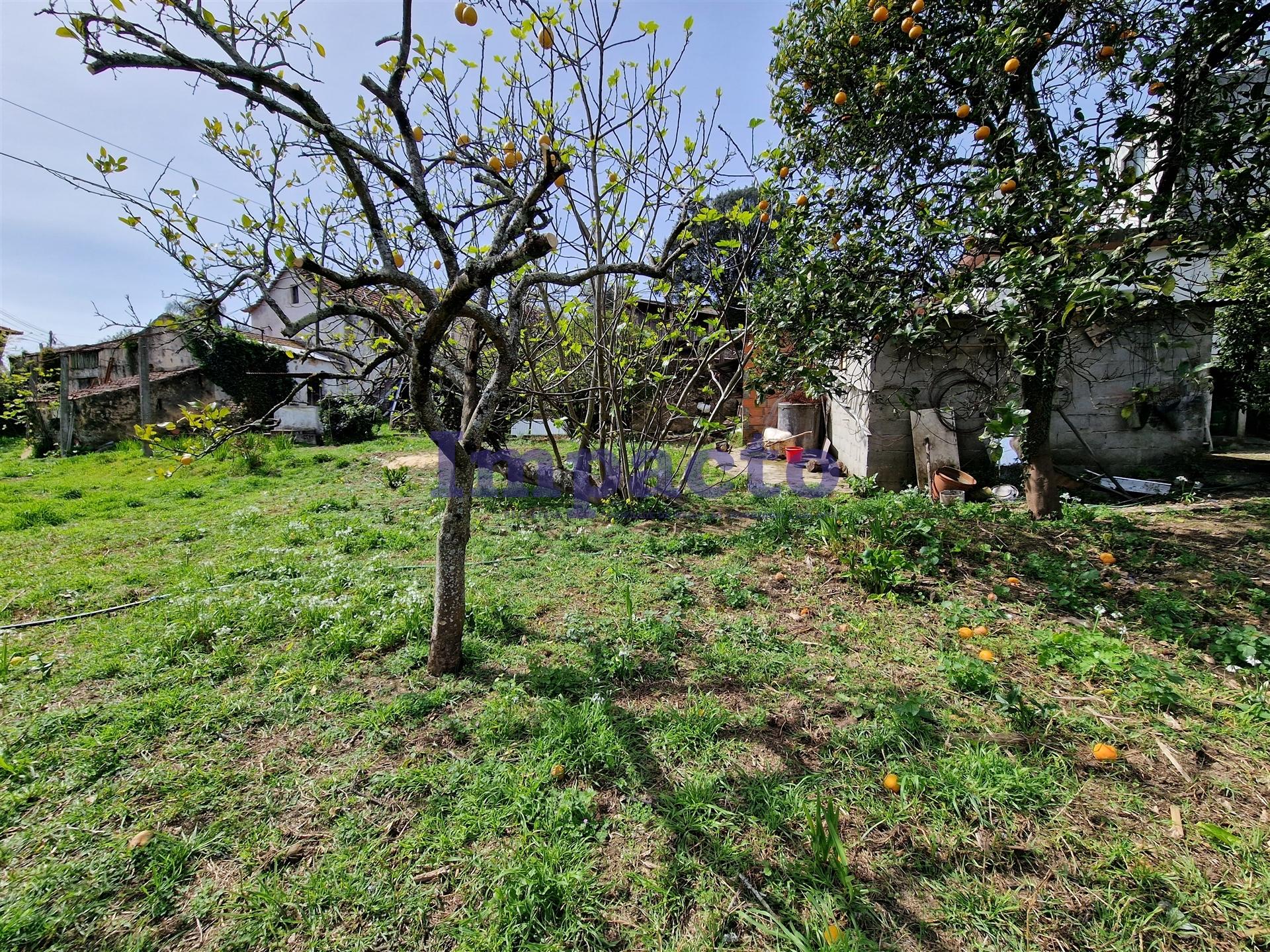 Terreno Para Construção  Venda em Fornos,Santa Maria da Feira