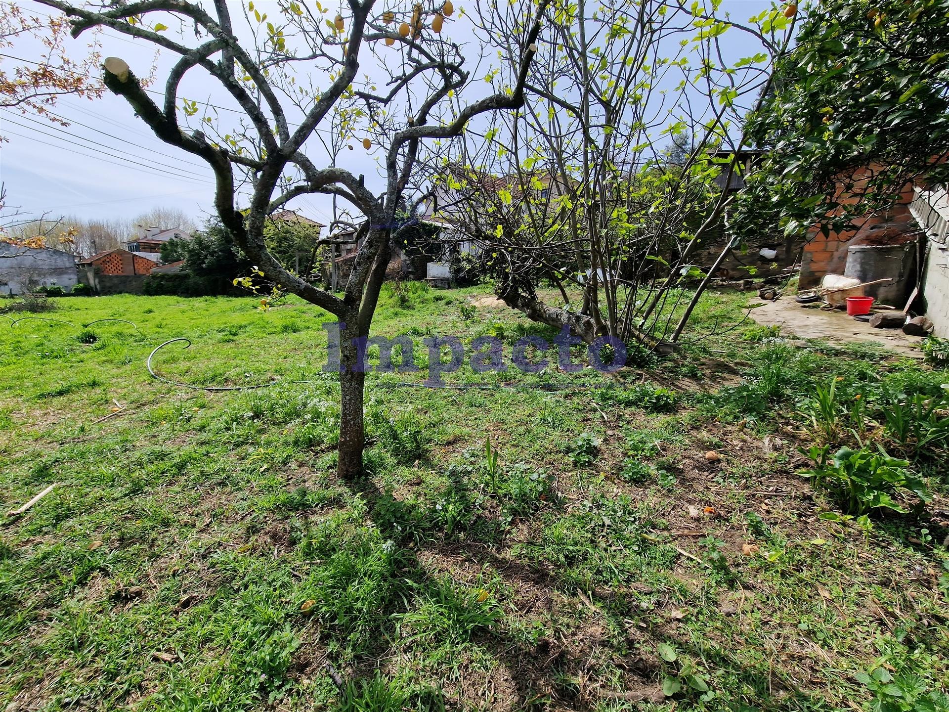 Terreno Para Construção  Venda em Fornos,Santa Maria da Feira