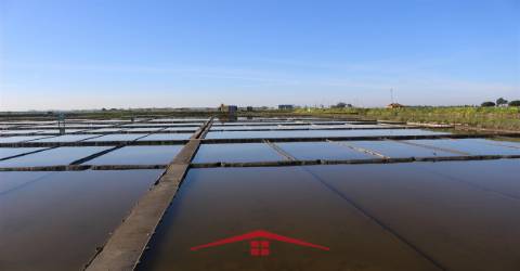 APARTAMENTO T1 + 1- AVEIRO - 260.000€