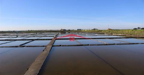 APARTAMENTO T1 + 1- AVEIRO - 260.000€