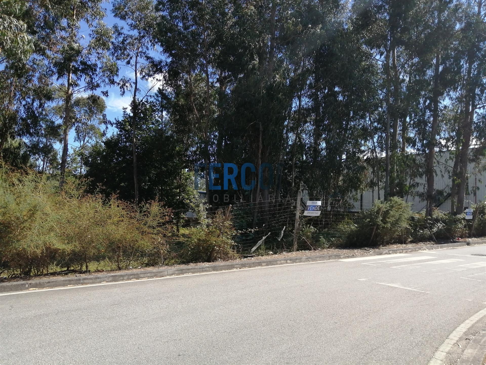 Terreno  Venda em Carvalhosa,Paços de Ferreira