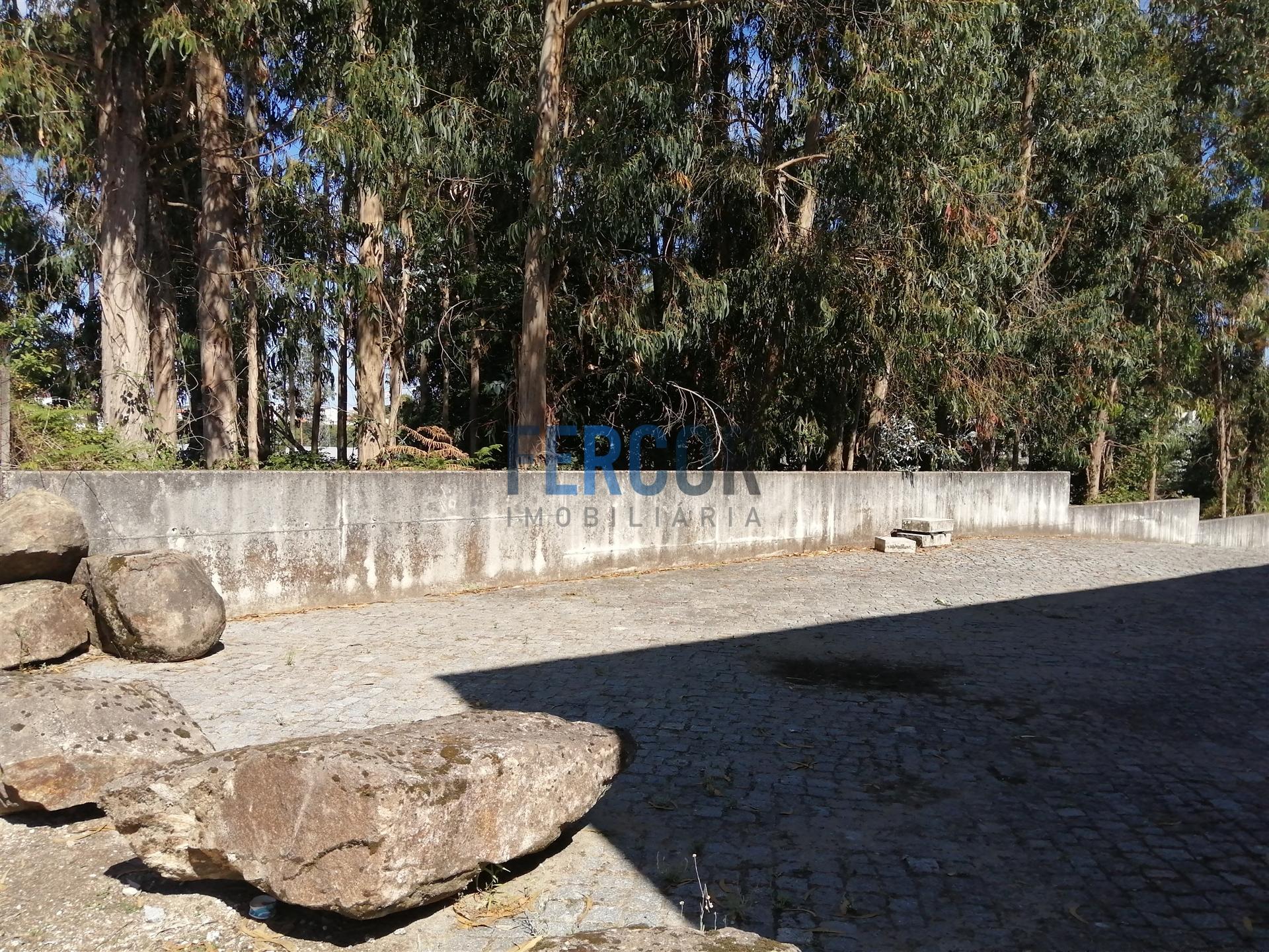 Terreno  Venda em Carvalhosa,Paços de Ferreira