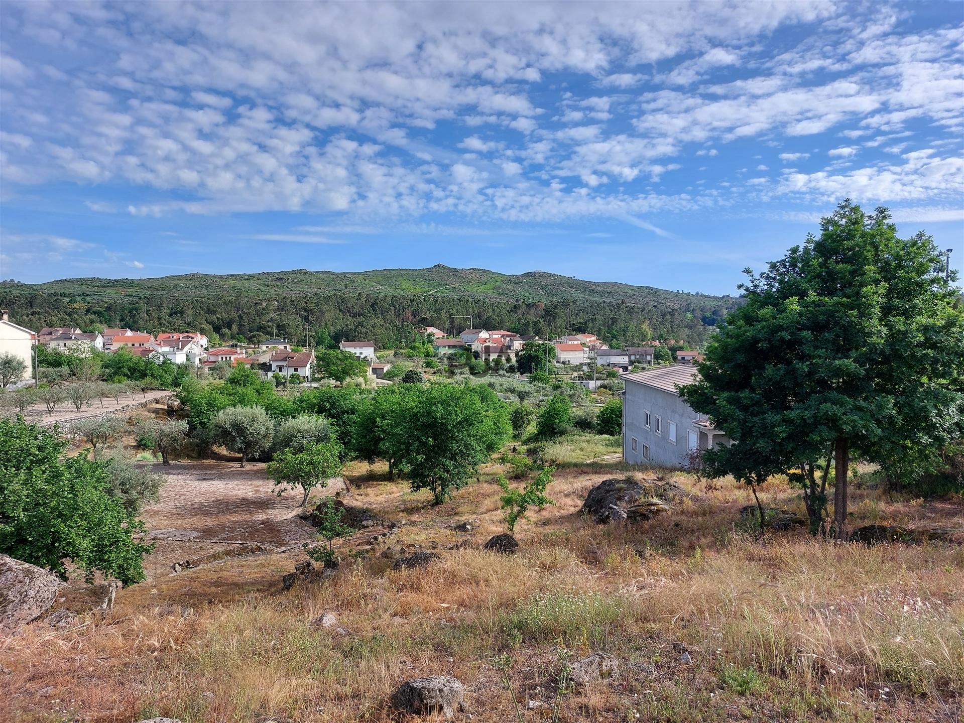 Terreno para construção em Tabosa