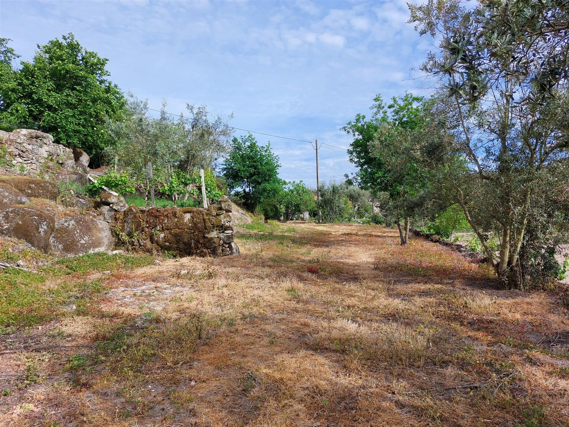 Terreno para construção em Tabosa