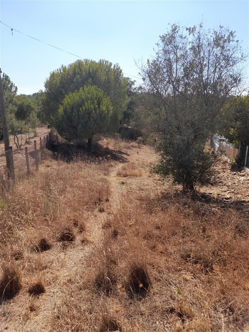 Terreno Rústico T0 Venda em Sarnadas de Ródão,Vila Velha de Rodão