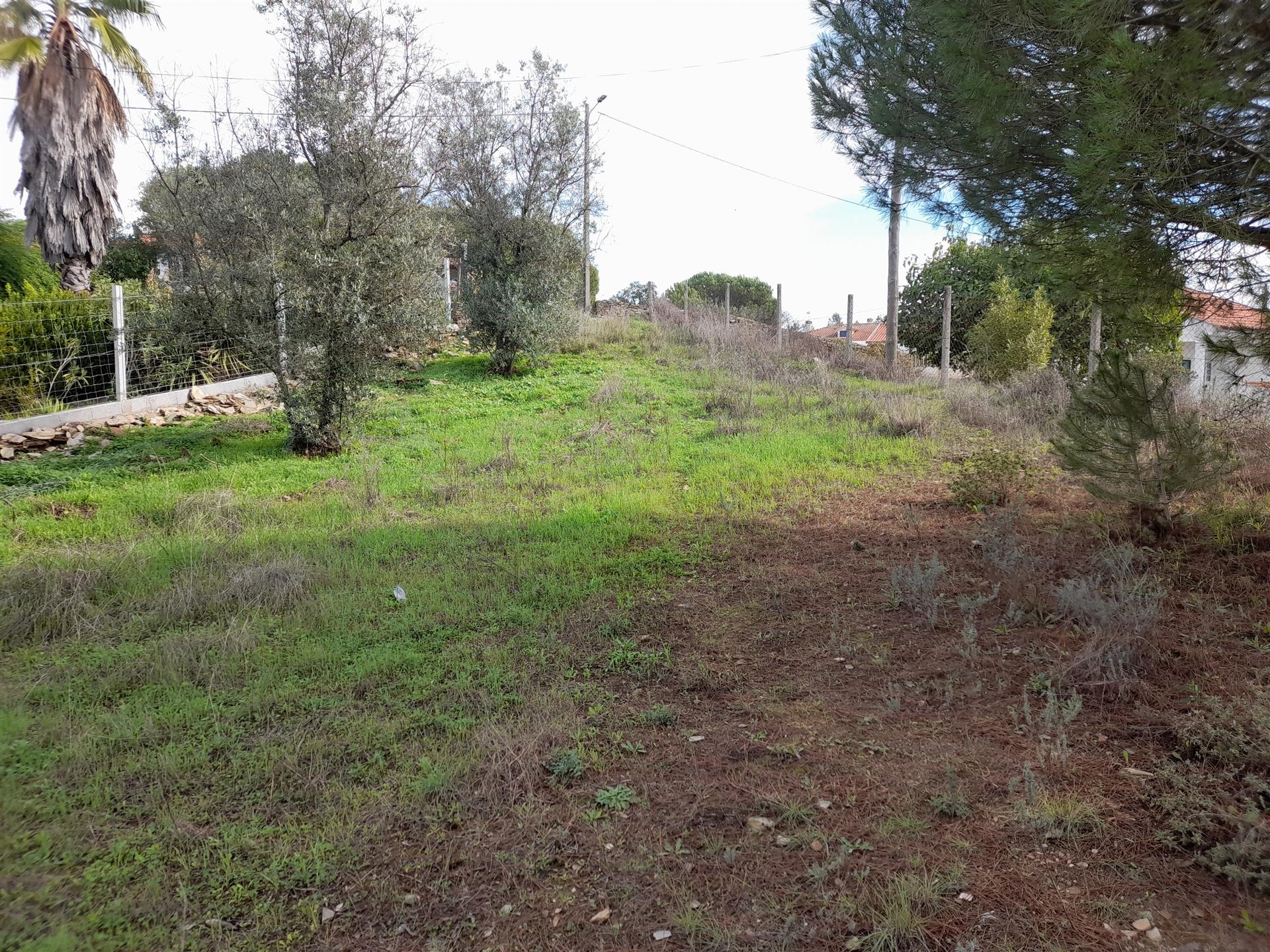 Terreno Rústico T0 Venda em Sarnadas de Ródão,Vila Velha de Rodão