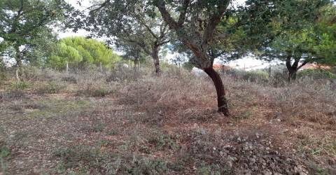 Terreno Rústico T0 Venda em Sarnadas de Ródão,Vila Velha de Rodão