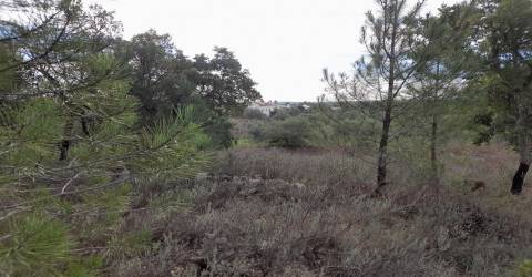 Terreno Rústico T0 Venda em Sarnadas de Ródão,Vila Velha de Rodão