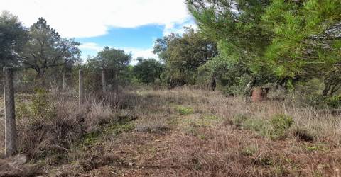 Terreno Rústico T0 Venda em Sarnadas de Ródão,Vila Velha de Rodão