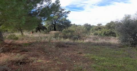 Terreno Rústico T0 Venda em Sarnadas de Ródão,Vila Velha de Rodão