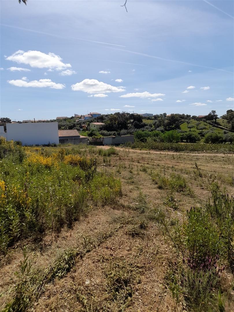 Terreno Rústico  Venda em Benquerenças,Castelo Branco