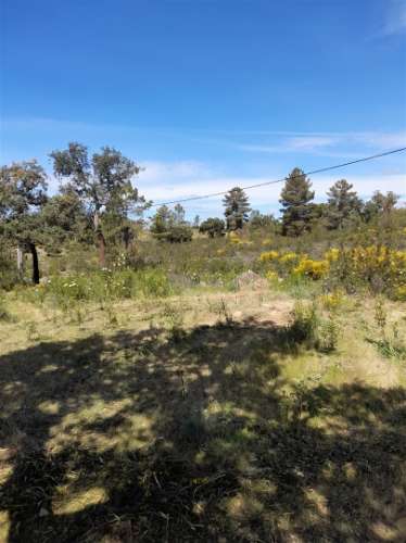 Terreno Rústico  Venda em Benquerenças,Castelo Branco