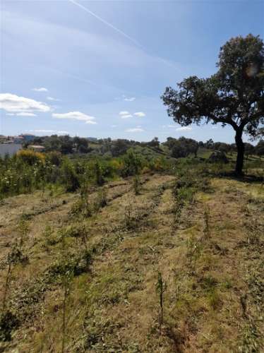 Terreno Rústico  Venda em Benquerenças,Castelo Branco