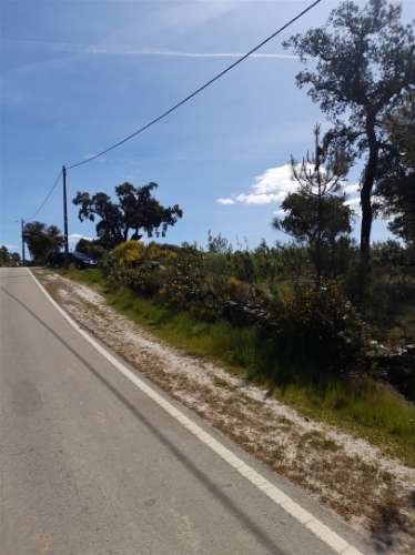 Terreno Rústico  Venda em Benquerenças,Castelo Branco