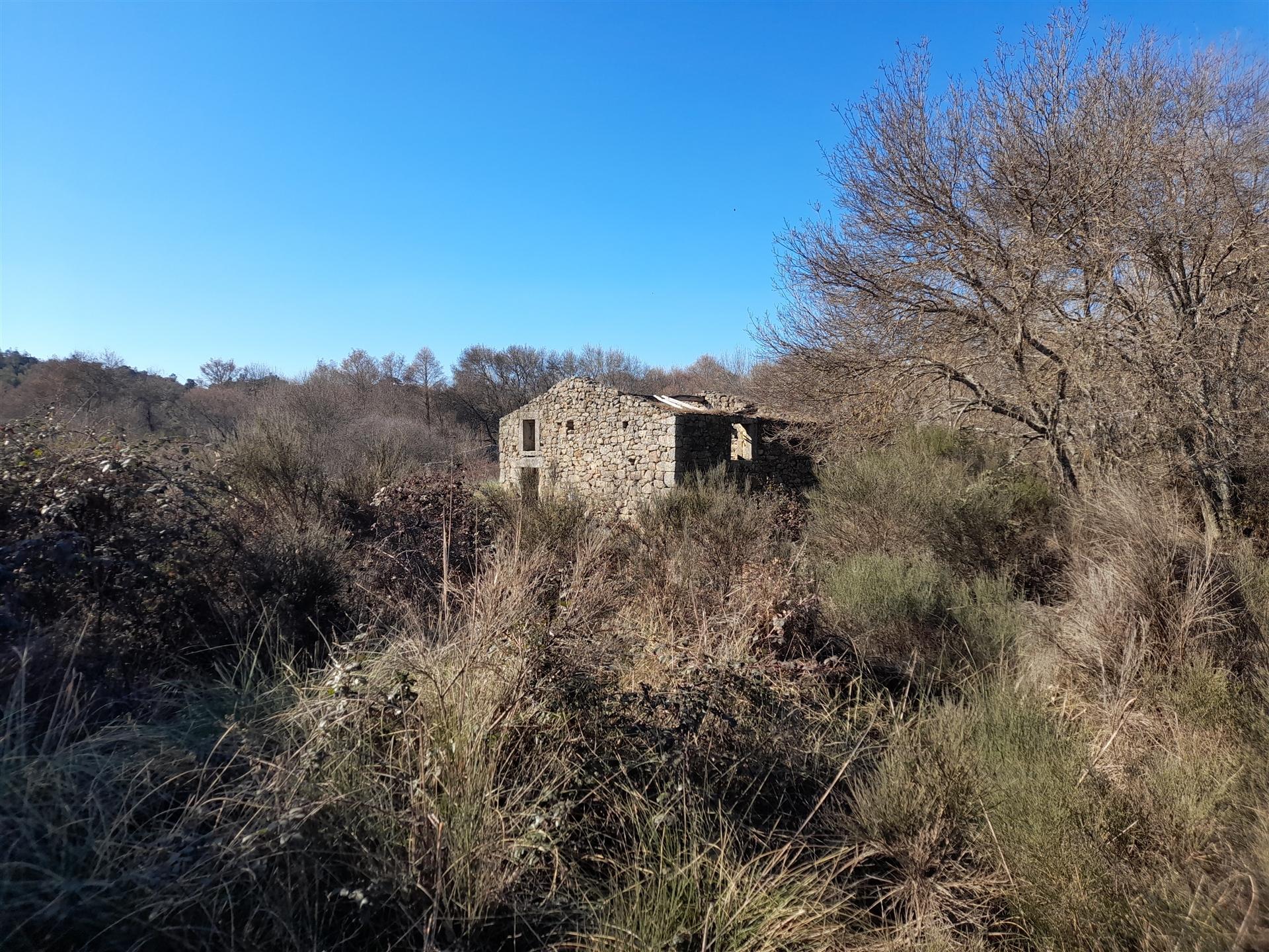 Quinta T0 Venda em Alcains,Castelo Branco