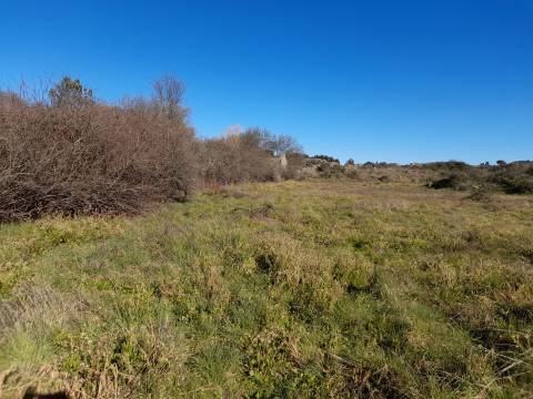 Quinta T0 Venda em Alcains,Castelo Branco