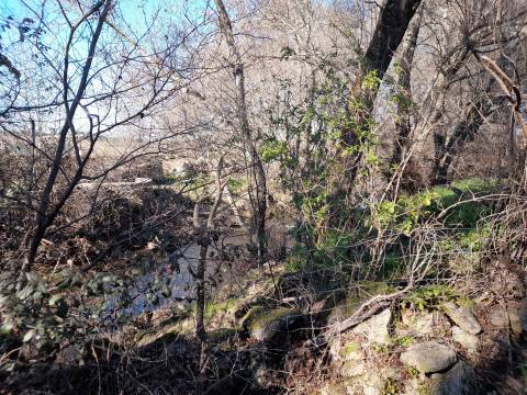 Quinta T0 Venda em Alcains,Castelo Branco