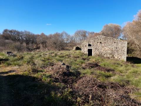 Quinta T0 Venda em Alcains,Castelo Branco