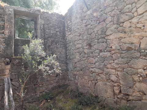 Quinta T0 Venda em Alcains,Castelo Branco