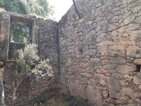 Quinta T0 Venda em Alcains,Castelo Branco