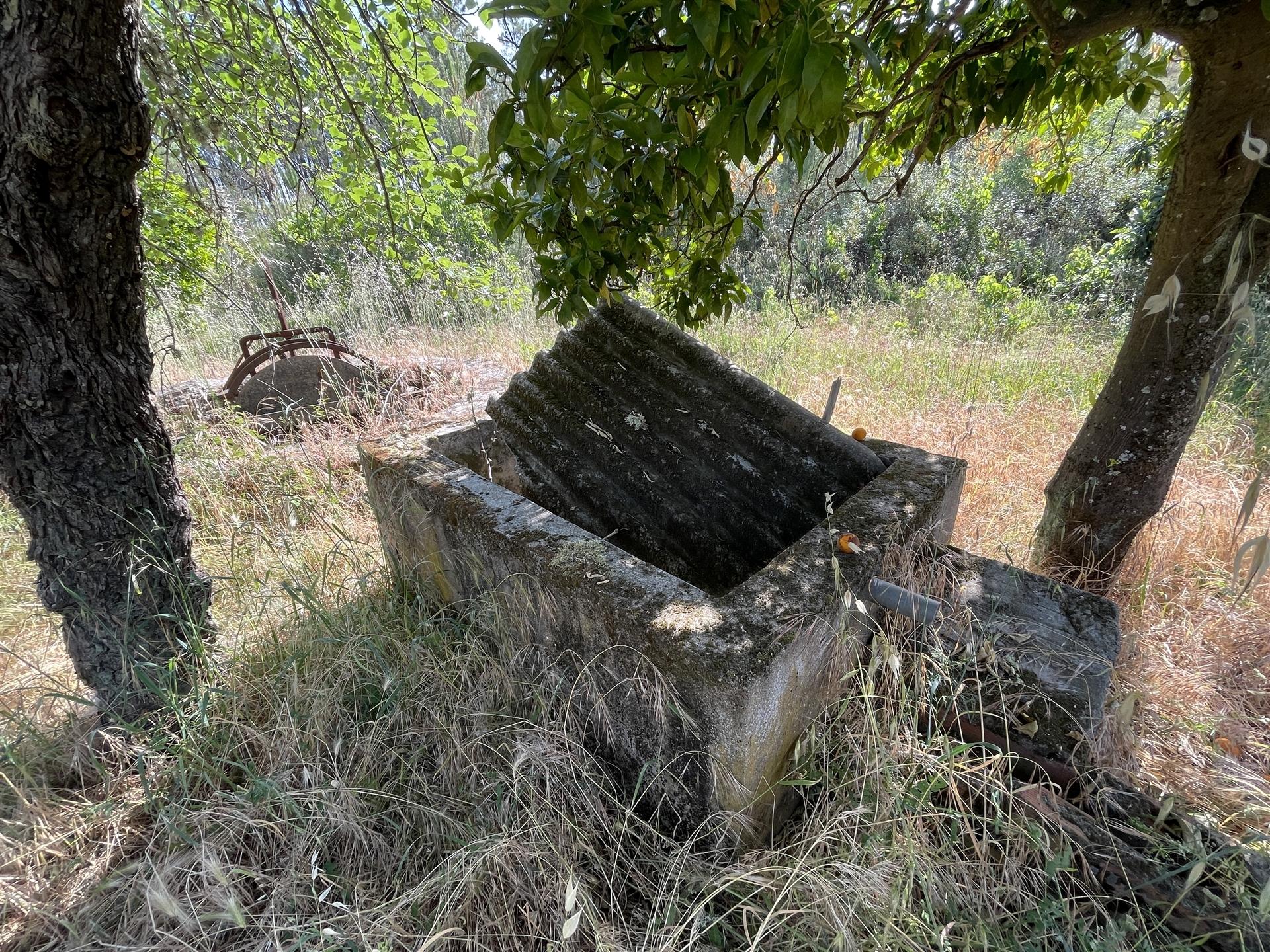 Terreno Rústico  Venda em Sarzedas,Castelo Branco