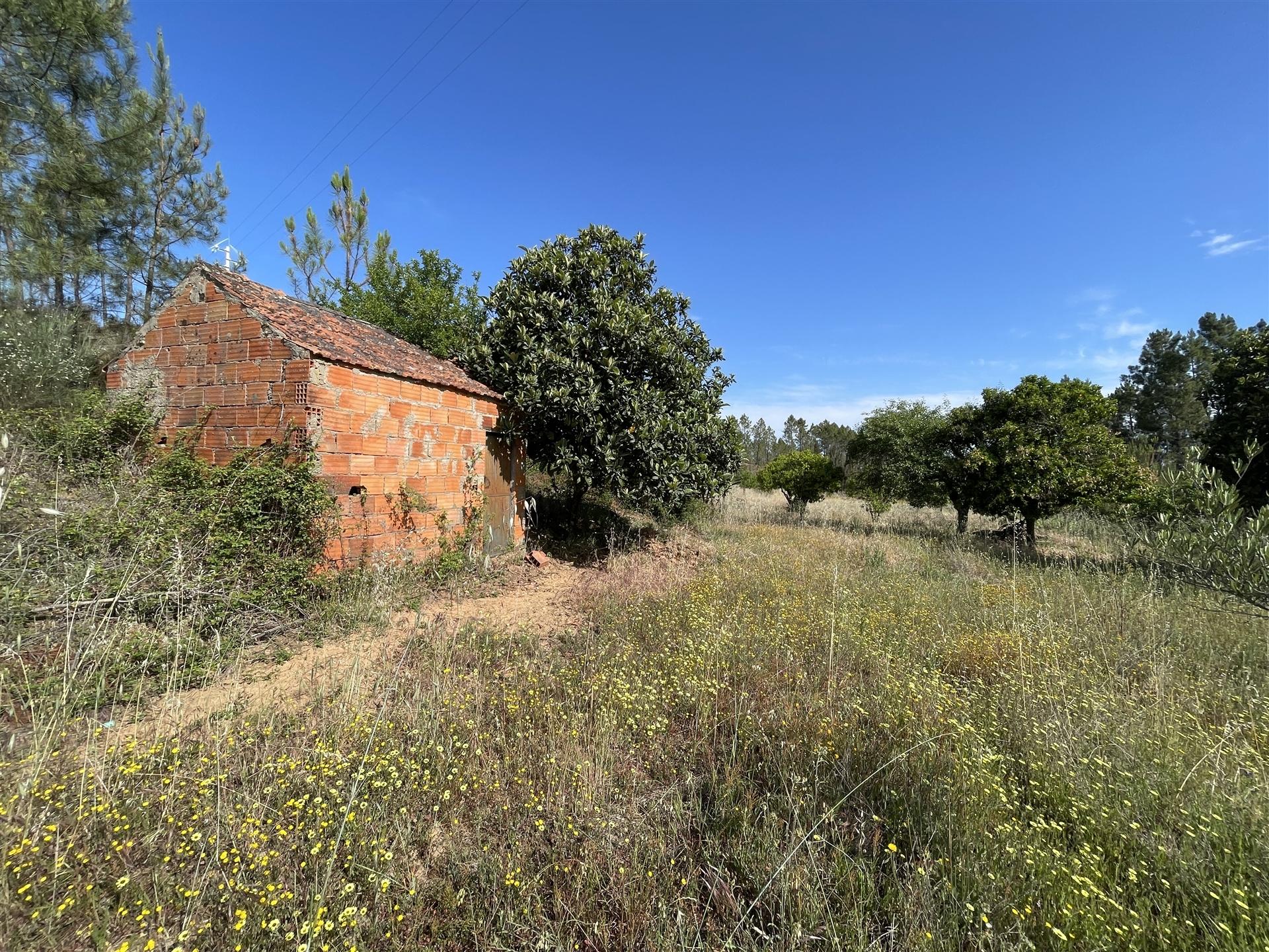 Terreno Rústico  Venda em Sarzedas,Castelo Branco