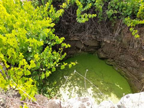 Terreno Rústico  Venda em Alcains,Castelo Branco