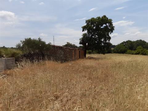 Terreno Rústico  Venda em Alcains,Castelo Branco