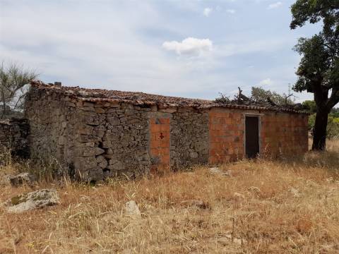 Terreno Rústico  Venda em Alcains,Castelo Branco