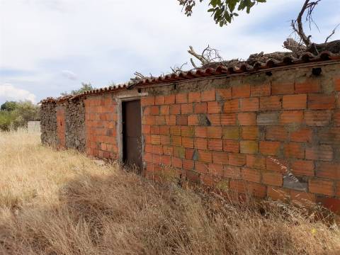 Terreno Rústico  Venda em Alcains,Castelo Branco