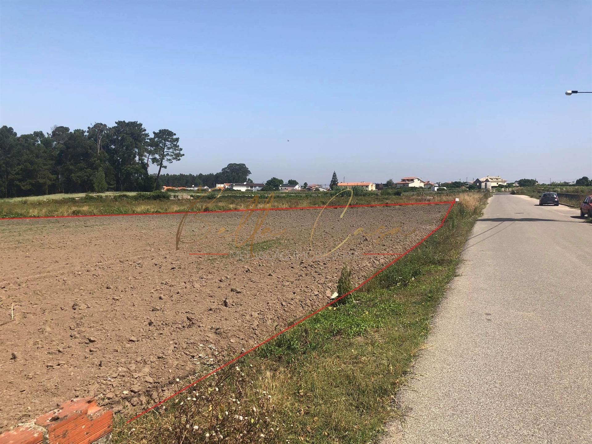 Terreno Para Construção  Venda em São Bernardo,Aveiro